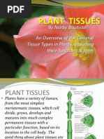 Plant Tissues