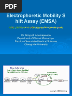 Electrophoretic Mobility Shift Assay (EMSA) AMS 501795