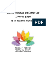 Curso Teorico Practico de Terapia Sabai