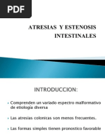 Atresia Intestinal