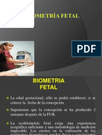 Biometria Fetal2