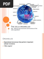 Cell Structures and Functions 02