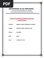 Trabajo Academico Procesal Constitucional