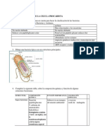 Taller 2 Micro General para Bacteriologia