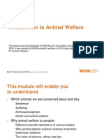 M1 P Introduction To Animal Welfare