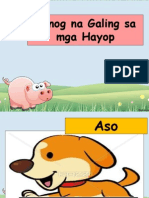 Tunog NG Mga Hayop