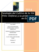 Cultivo de La Vid