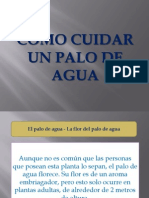 Como Cuidar Un Palo de Agua