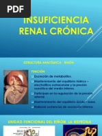 Insuficiencia Renal Crónica