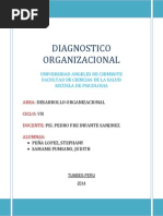 Stephany Peña Desarrollo Organizacional Monografia