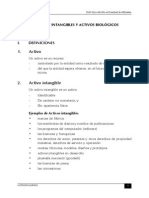 Cont 09 Todo Sobre Intangibles