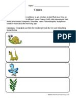 Fossils Worksheet