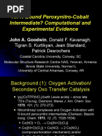 An N-Bound Peroxynitro-Cobalt Intermediate? Computational and Experimental Evidence