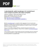 A Physiologically Explicit Morphospace For Tracheid-Based Water Transport in Modern and Extinct Seed Plants