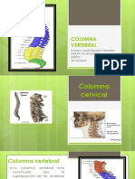 Columna