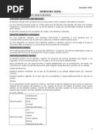 DERECHO CIVIL Resumen 213 Paginas