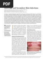 Intertrigo and Secondary Skin Infections