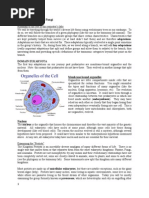 Lab 09 Protists and Fungi