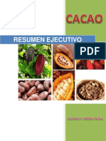 Cacao Completo