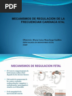 Mecanismos de Regulacion de La Frecuencian Cardiaca Fetal