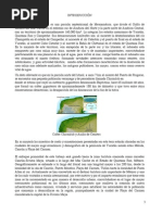 Características Del Subsuelo en La Península de Yucatán.F.a. Santiago Sierra