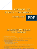 Nucleotidos de Purina y Pirimidina - Pps