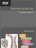 Trauma Escrotal 2003