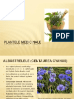 Plante Medicinale