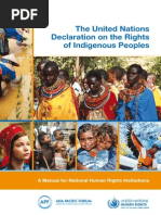 The United Nations Declaration On The Rights of Indigenous Peoples