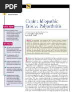 CANINE-Idıopathic Erosive Polyarthritis