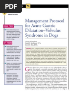 CANINE-Management Protocol For Acute Gastric Dilatation-Volvulus Syndrom in Dogs