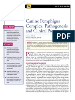 CANINE-Pemphigus Complex-Pathogenesis and Clinical Presentation