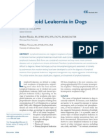 Lymphoid Leukemia in Dogs