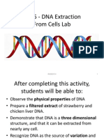 Lab 5 - DNA Extraction From Strawberries and Liver Fall 2014