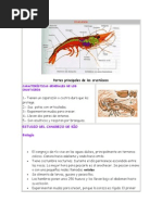 CRUSTÁCEOS y Moluscos