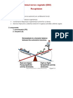 Sistemul Nervos Vegetativ - COLINERGIC