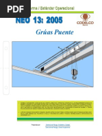 Neo13-2005 Grúas Puente