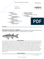 FAO Fisheries & Aquaculture - Cultured Aquatic Species Fact Sheets - Mugil Cephalus (Linnaeus, 1758)