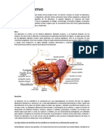 Resumen Fisiologia Del Sistema Digestivo