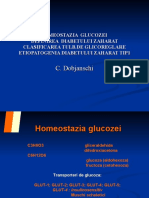 Homeostazia Glucozei