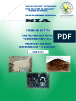 Ficha Ambiental Potosi