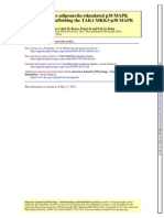 Appl1 Scaffolds Tak1-Mkk3-p38 Mapk in Adiponectin Pathway