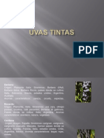 Uvas Tintas