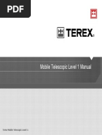 Grua Terex RT