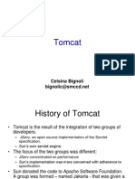 Tomcat: Celsina Bignoli