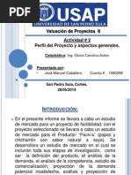 Actividad 2 Perfil Del Proyecto y Aspectos Generales