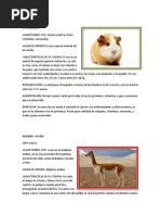 Animales Nativos y Del Peru