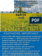 Despre Rapita