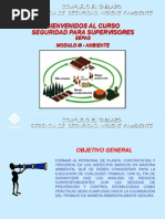 SEPAS Actualizado28!09!2005 (V2) - Módulo III - Ambiente