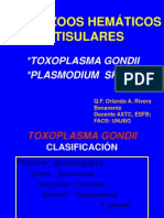 Toxoplasma y Plasmodium